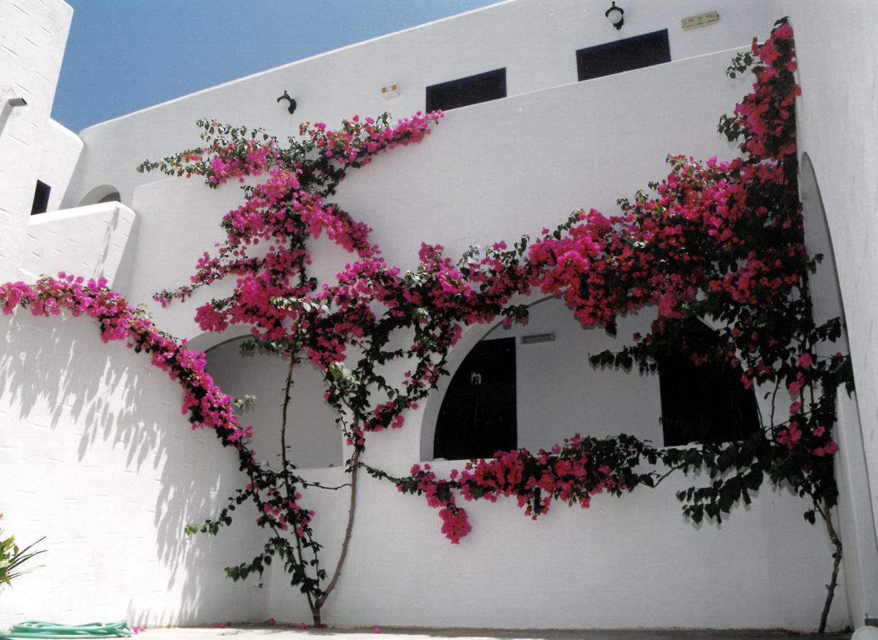 פיסו ליבאדי San Antonio Summer House מראה חיצוני תמונה